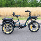 DWMEIGI Silverado 20 Foldable Fat Tire Electric Trike 48V/14AH 750W, 330LBS - MG2301