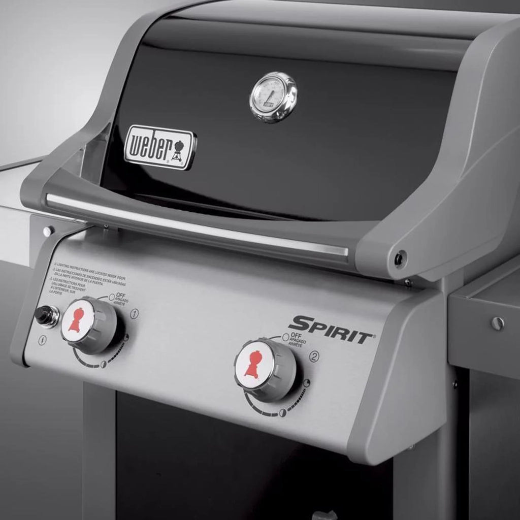 Weber 2 Burner Liquid Propane Grill, Black - Spirit E-210