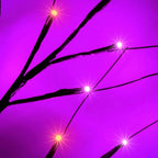 Albelt Lighted Black Halloween Trees, Set Of 3, 4FT 5FT 6FT, 96 LED Lights, Orange And Purple - GP-SW240DC0150T-IP44(US)