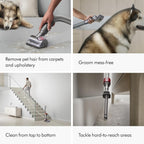 Dyson Upright Vacuum, Corded, 290AW, De-Tangling Motorbar, 3 Suction Modes - Ball Animal 3 Extra