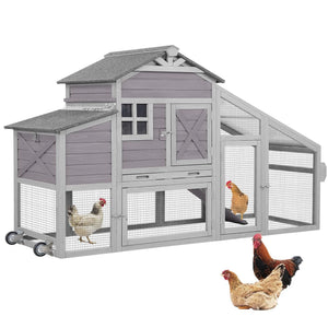 Pet Supplies