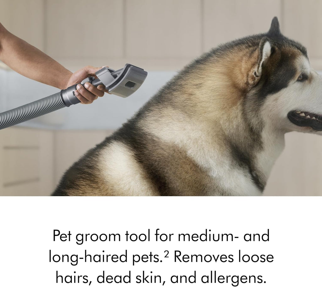 Dyson Upright Vacuum, Corded, 290AW, De-Tangling Motorbar, 3 Suction Modes - Ball Animal 3 Extra