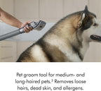 Dyson Upright Vacuum, Corded, 290AW, De-Tangling Motorbar, 3 Suction Modes - Ball Animal 3 Extra