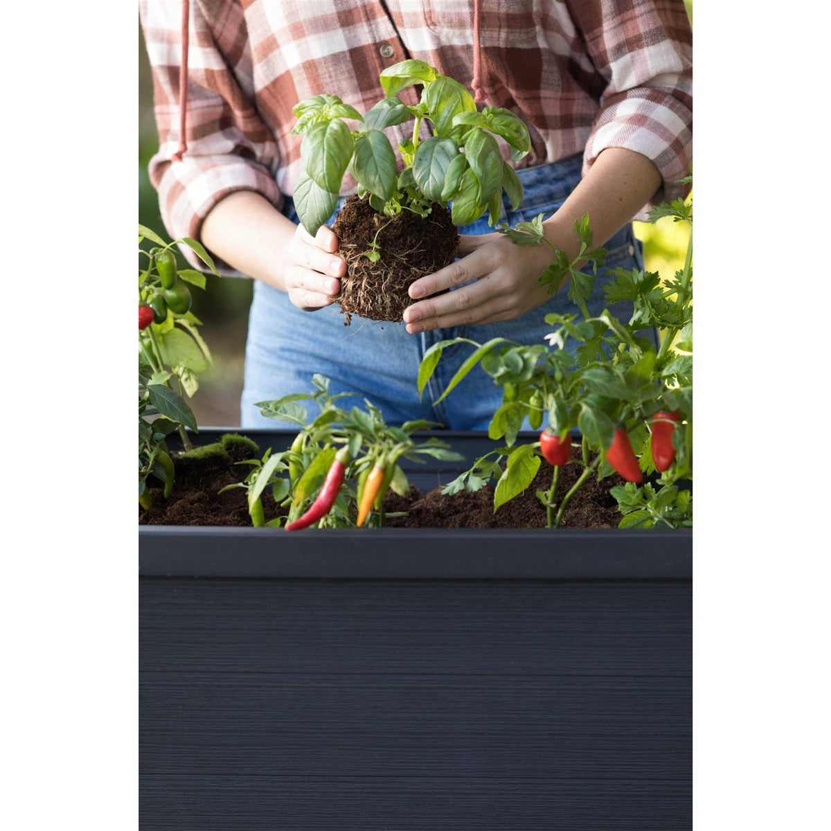 Keter Urban Bloomer Resin Elevated Planter Raised Garden Bed - 236157