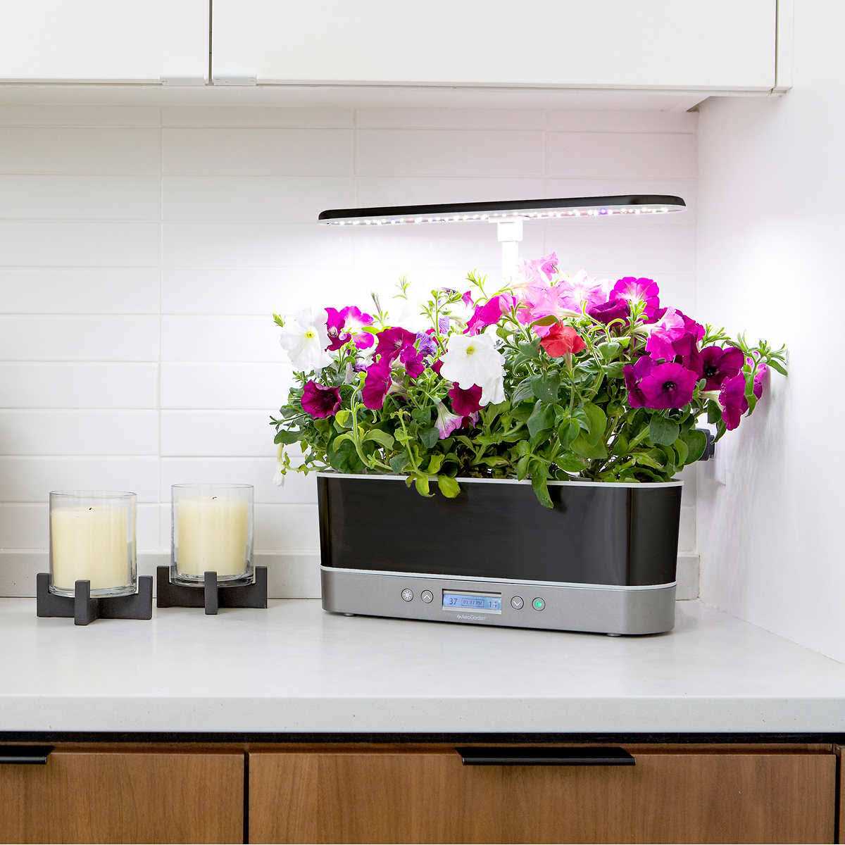 AeroGarden Bounty Elite Indoor Garden With 50W LED Grow Light - Bounty Elite