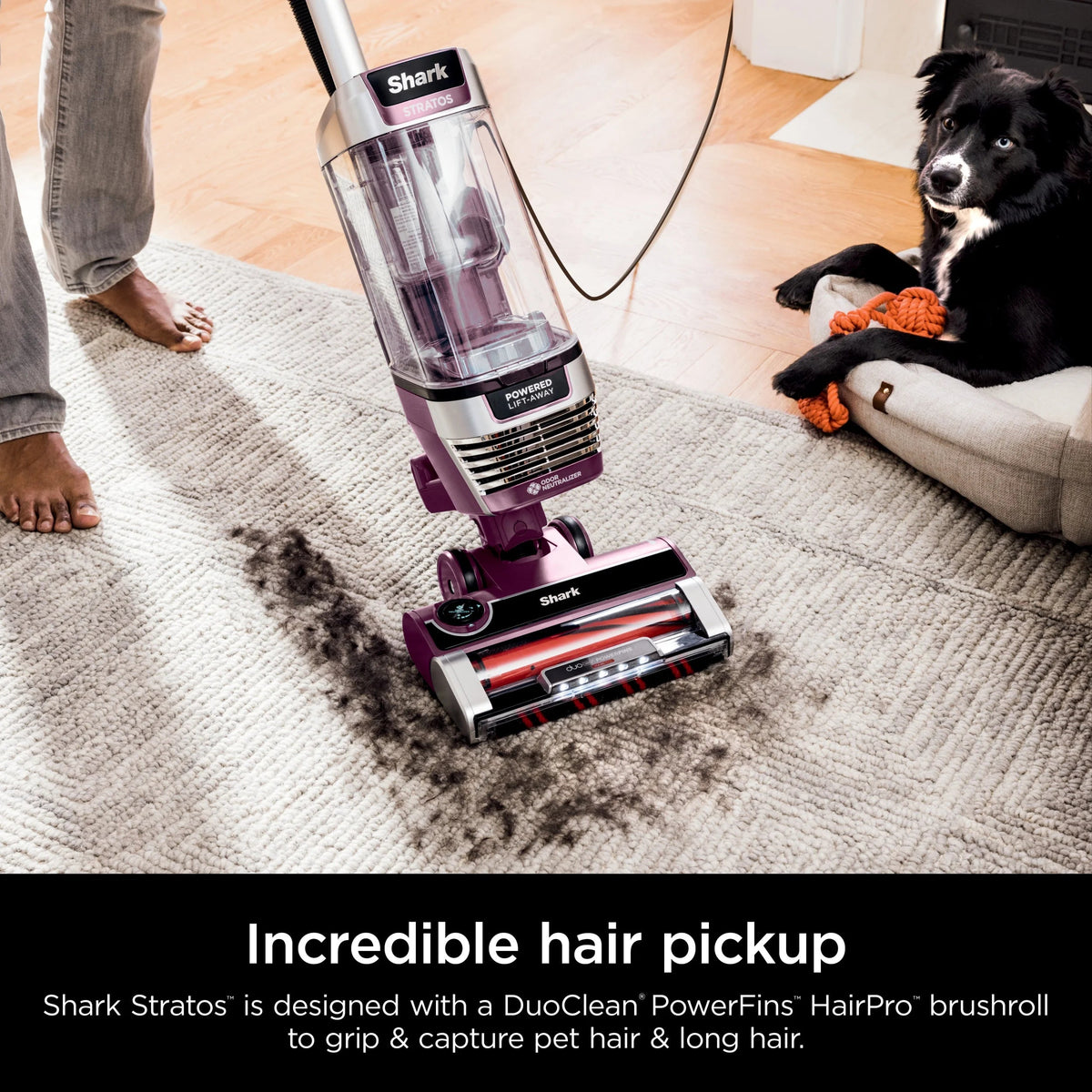Shark Stratos Upright Vacuum, Bagless, Burgundy - AZ3000