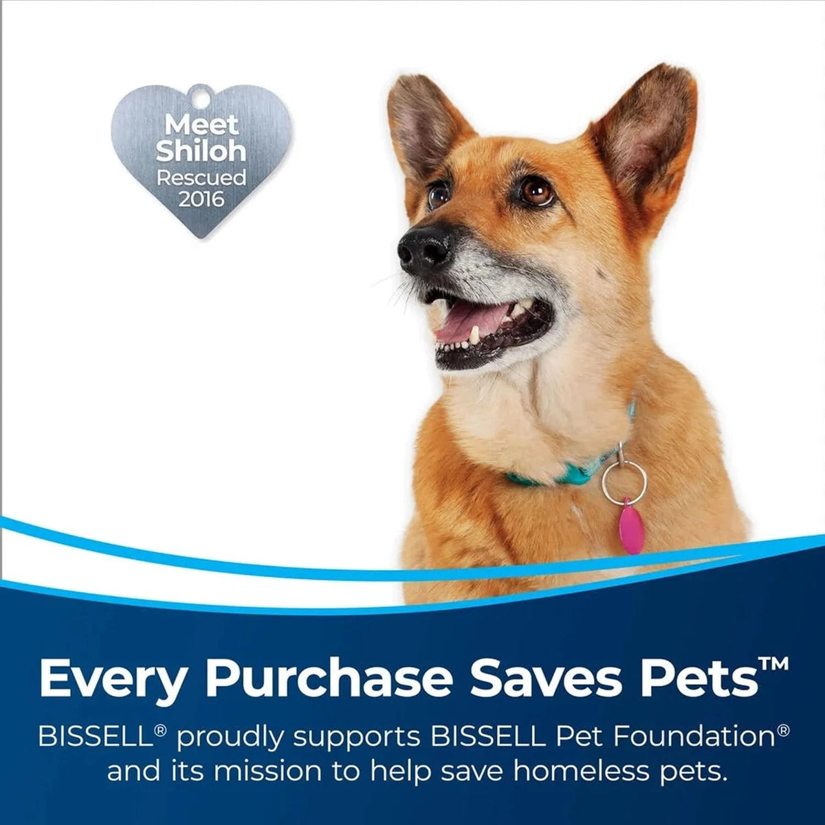 BISSELL Pet Hair Eraser Slim Corded Stick Vacuum, Black - 3875