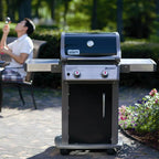 Weber 2-Burner Propane Gas Grill With Cabinet - E-210