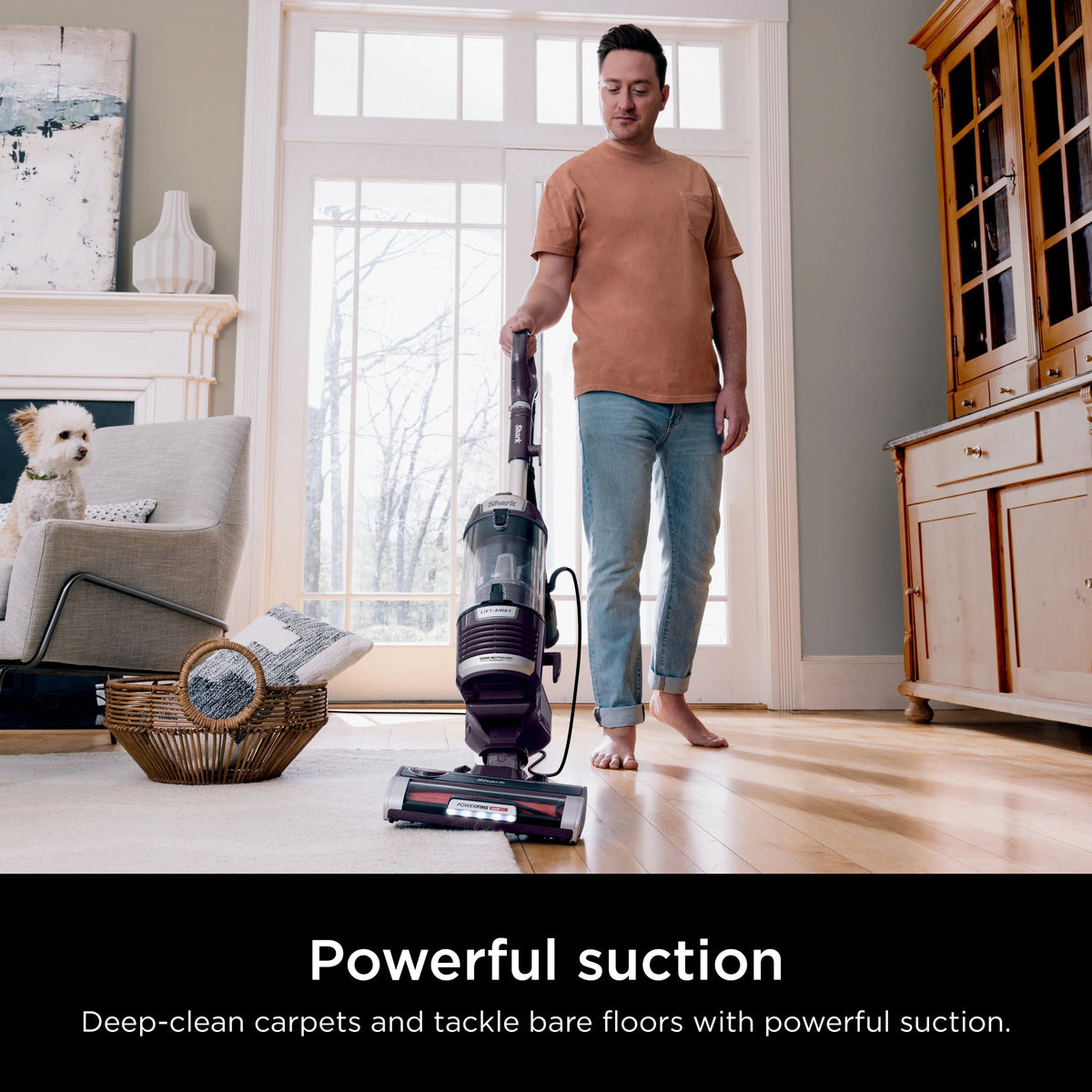 Shark Upright Vacuum With Lift-Away, PowerFins HairPro, Odor Neutralizer, Purple - ZD550