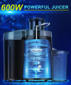 ZNOAV Centrifugal Juicer Machine, 600W, 3.5 in Wide Chute, 3 Speeds, Gray