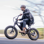MACFOX 500W/48V/10.4Ah 20 inch Fat Tire Electric Bike