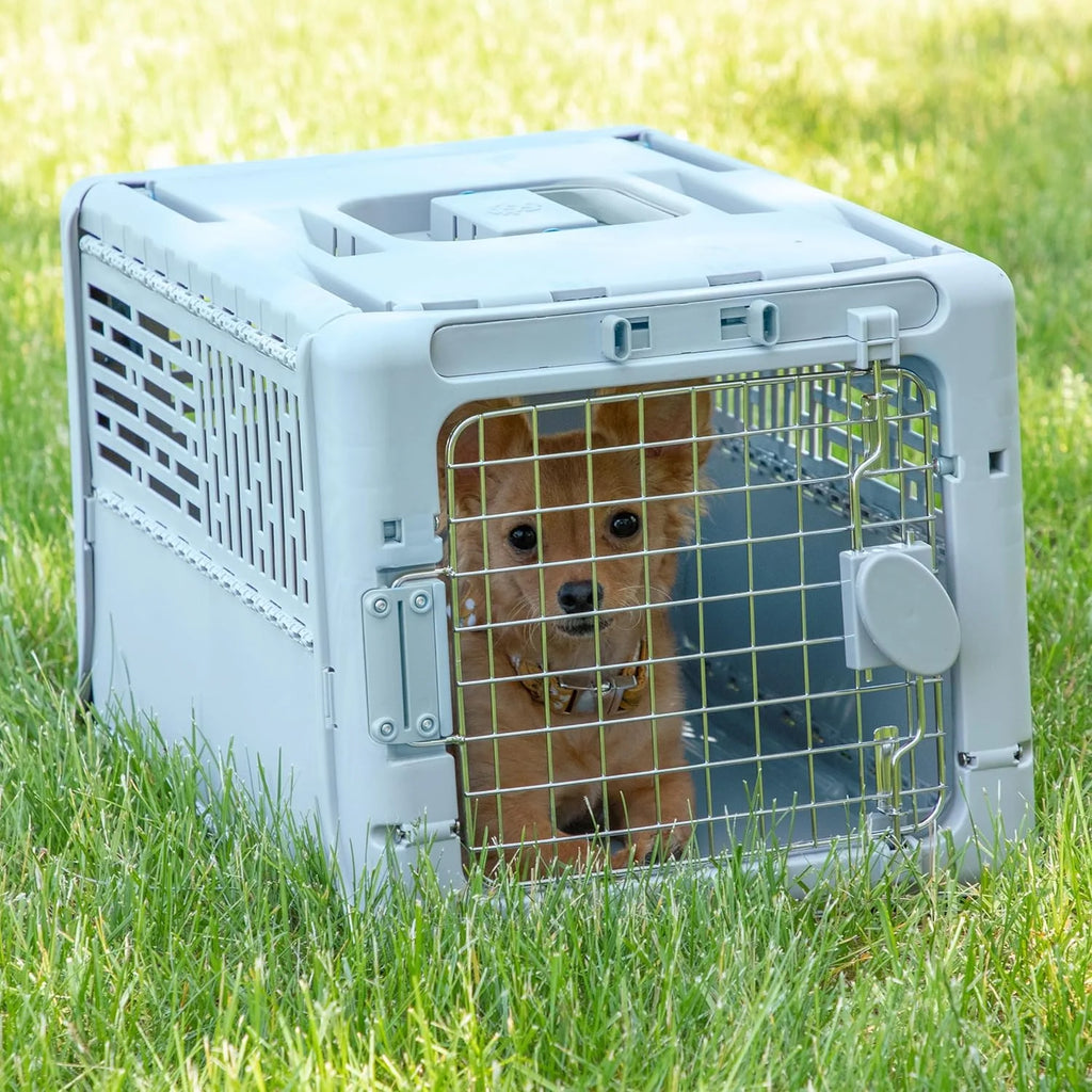 SportPet Designs Plastic Airline Approved Rolling Dog Kennel With Wire Door, XXX-Large, Gray, 48in L x 32in W x 36in H