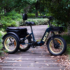 DWMEIGI Silverado 20 Foldable Fat Tire Electric Trike 48V/14AH 750W, 330LBS - MG2301