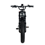 Electric Mountain Bike For Adults With 20 x 4.0 Fat Tires, 1000W Motor, 48V 20Ah Removable Battery, 45MPH Speed, 7-Speed