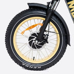 DWMEIGI Silverado 20 Foldable Fat Tire Electric Trike 48V/14AH 750W, 330LBS - MG2301