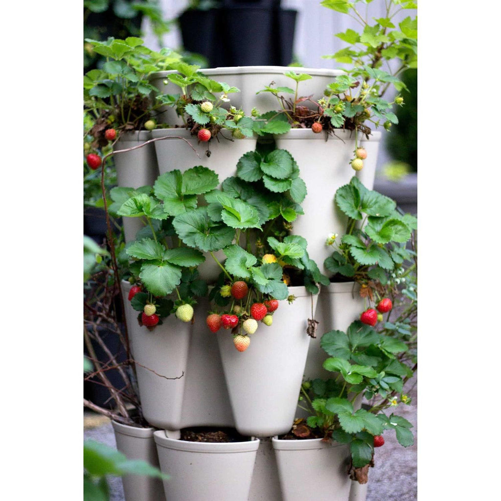 GreenStalk Large 5 Tier Vertical Garden Planter With Internal Watering System