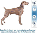 NaturalGuard Flea & Tick Collar For Large Dogs - Hypoallergenic, Plant-Based, 3-Month Protection