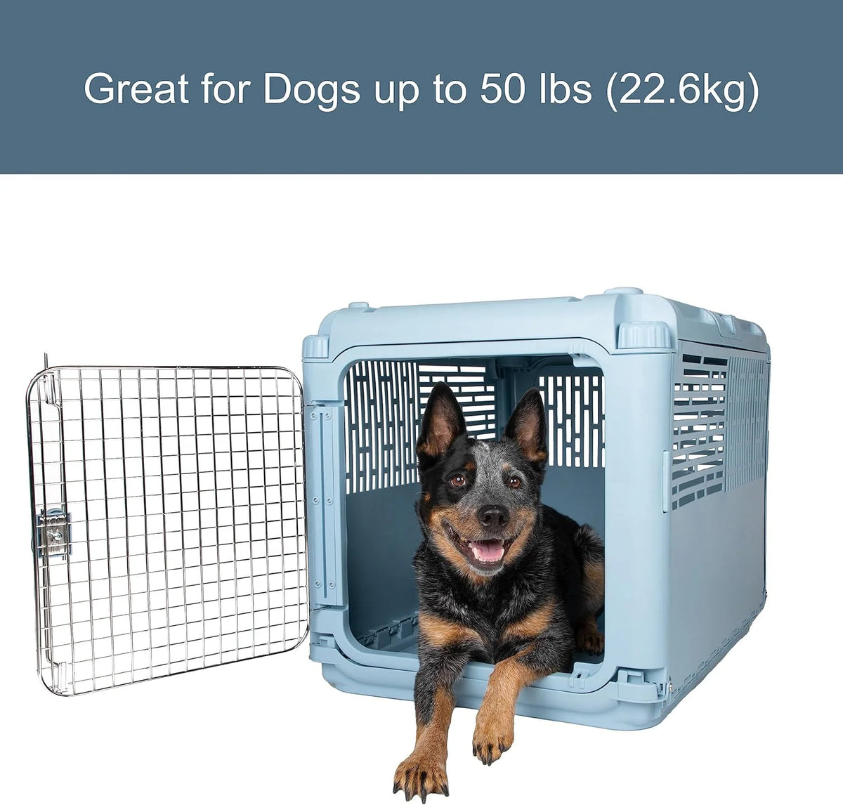 SportPet Designs Plastic Airline Approved Rolling Dog Kennel With Wire Door, XXX-Large, Gray, 48in L x 32in W x 36in H