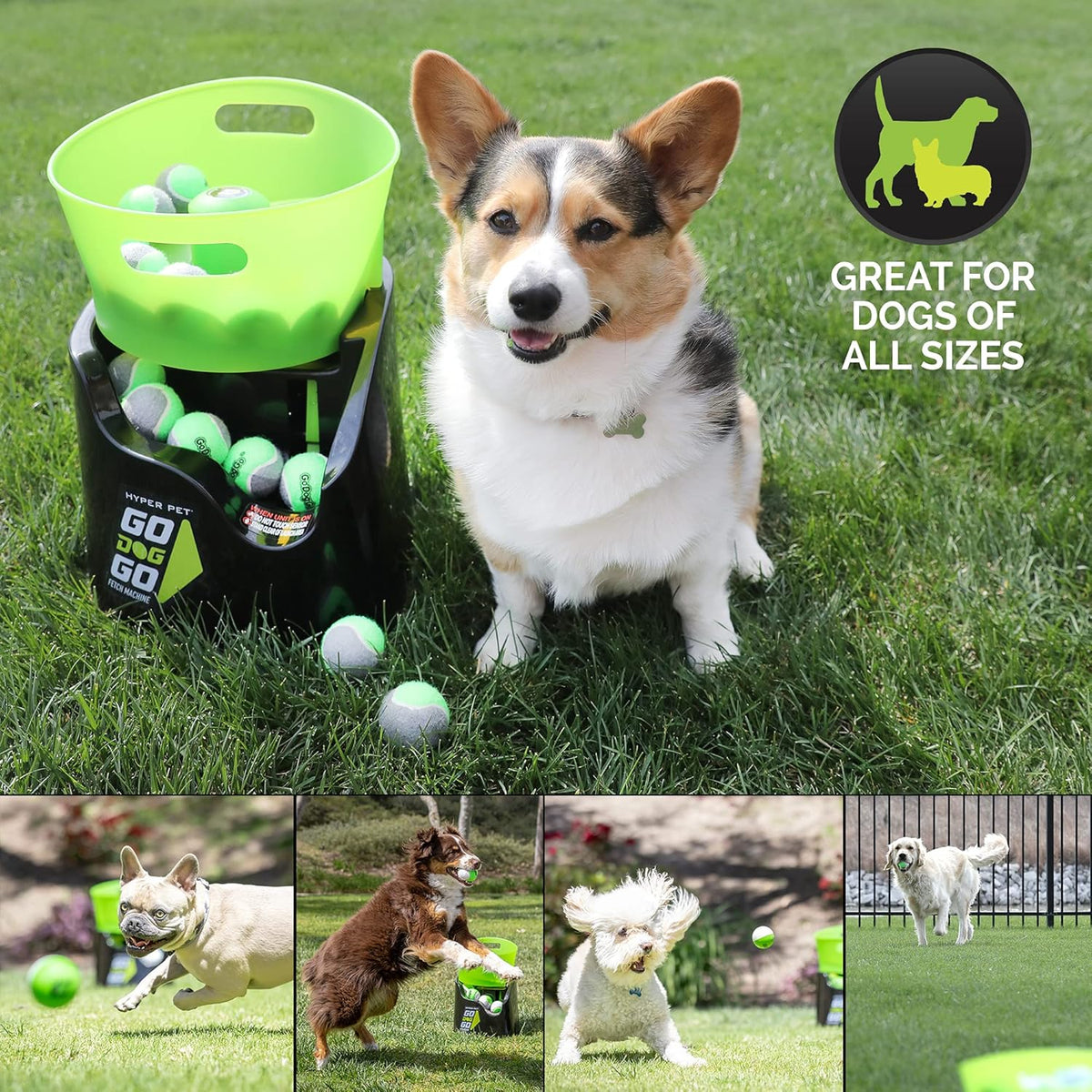 Hyper Pet Automatic Dog Ball Launcher With 5 Balls, Green/Black - GoDogGo