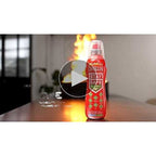 LifeSafe Technologies StaySafe All-in-1 Fire Extinguisher