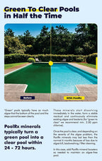 Black Swimming Pool Algaecides, 4 Pack, 20,000-30,000 Gallon - 101067