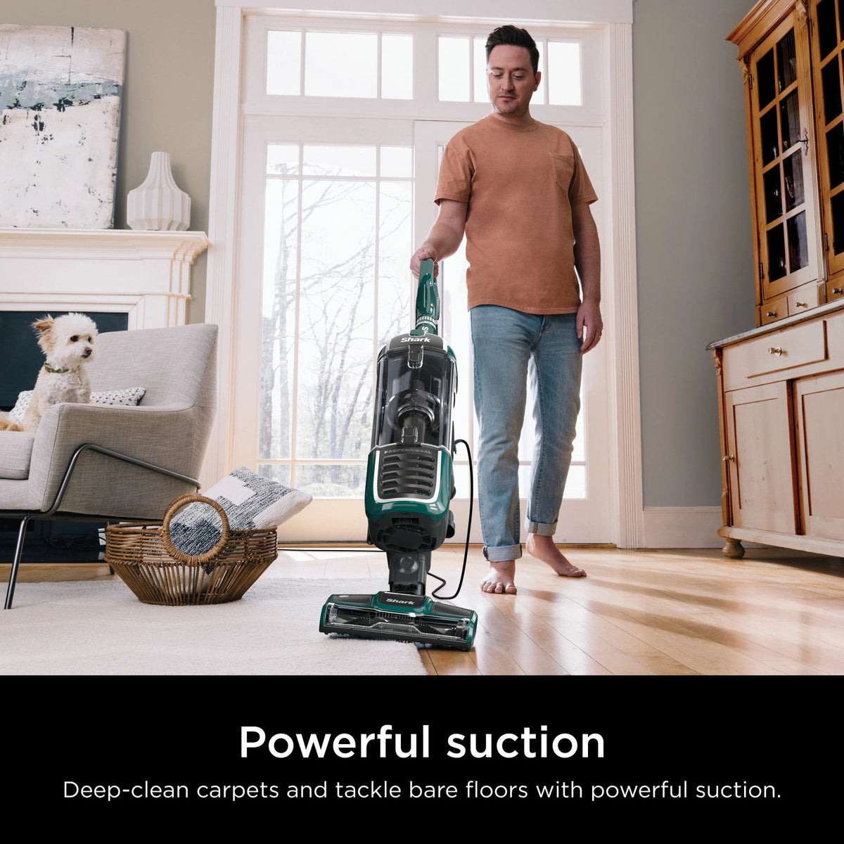 Shark Navigator Swivel Pro Plus Upright Vacuum, Green - NV250