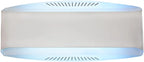 Brand Decorative Bug Light Indoor Fly Trap 30W