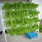 HYDDNice Hydroponic Grow Kit, 4 Layers, 36 Plant Sites