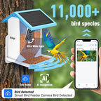 sainlogic Smart Bird Feeder With 1080P Camera, 2.5L Capacity, Light Blue - Smart Bird Feeder With Camera-1