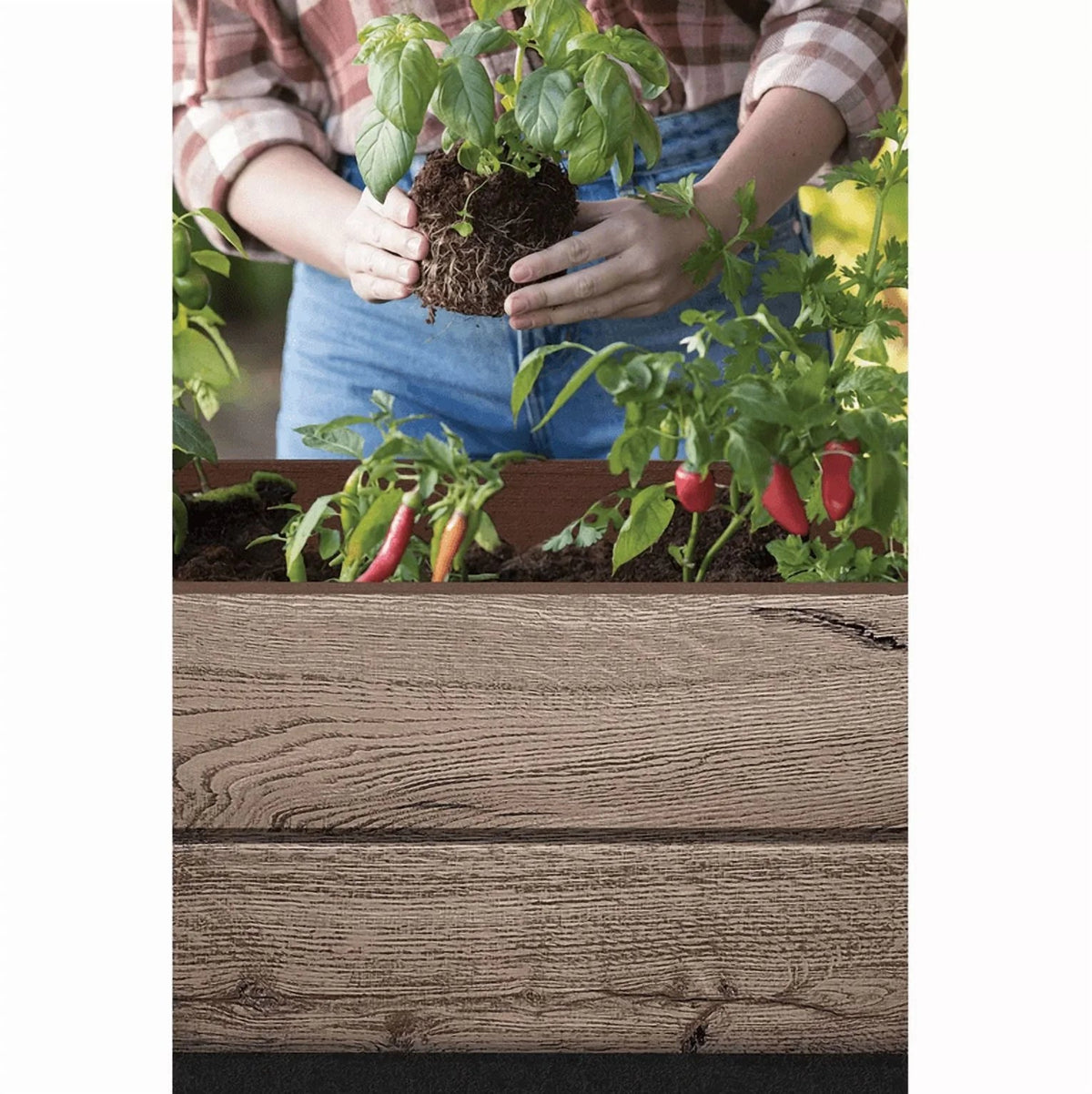 Keter Signature Collection Resin Elevated Garden Bed, 29 Gal.