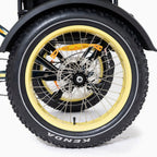 DWMEIGI Silverado 20 Foldable Fat Tire Electric Trike 48V/14AH 750W, 330LBS - MG2301