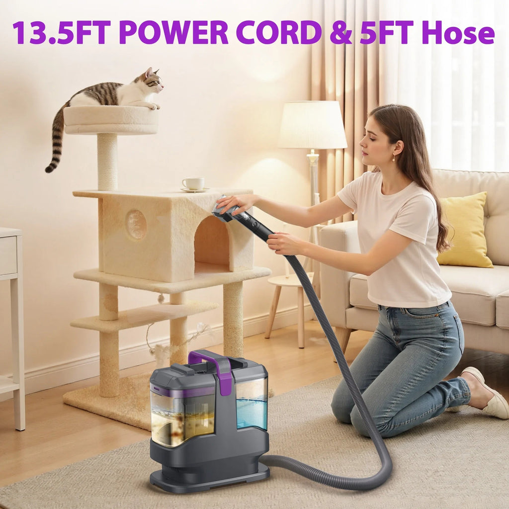 INSE Portable Carpet And Upholstery Vacuum Cleaner With 8.5oz Stain Lifter - C9
