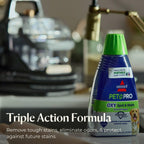 Portable Carpet Cleaner