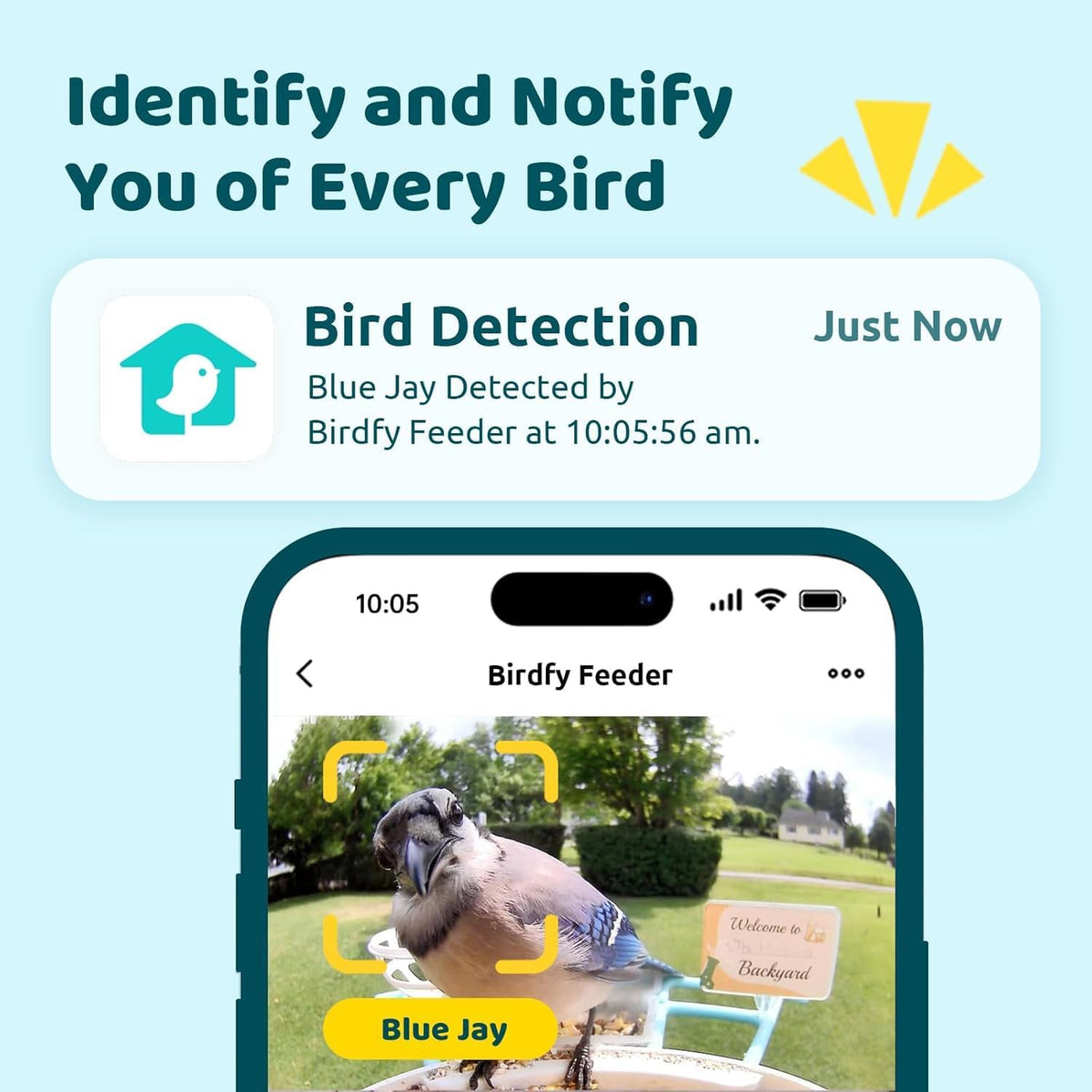 NETVUE by Birdfy Smart Bird Feeder With Camera, Solar Power, 1.5L