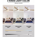 52in 3-Blade Ceiling Fan With Lights, Remote Control, 6 Speeds, Matte Black and Black Walnut