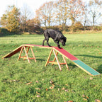 TRIXIE Dog Agility Dogwalk - 456 cm x 64 cm x 30 cm