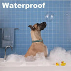 NaturalGuard Flea & Tick Collar For Large Dogs - Hypoallergenic, Plant-Based, 3-Month Protection