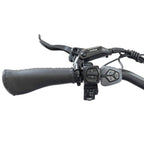 DWMEIGI Silverado 20 Foldable Fat Tire Electric Trike 48V/14AH 750W, 330LBS - MG2301