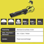 RYOBI 40V 20 in Self-Propelled Mower/Trimmer/Blower Kit, 2 Batteries, 2 Chargers - RY401120-Y/Ry40270/RY40407BTLVNM