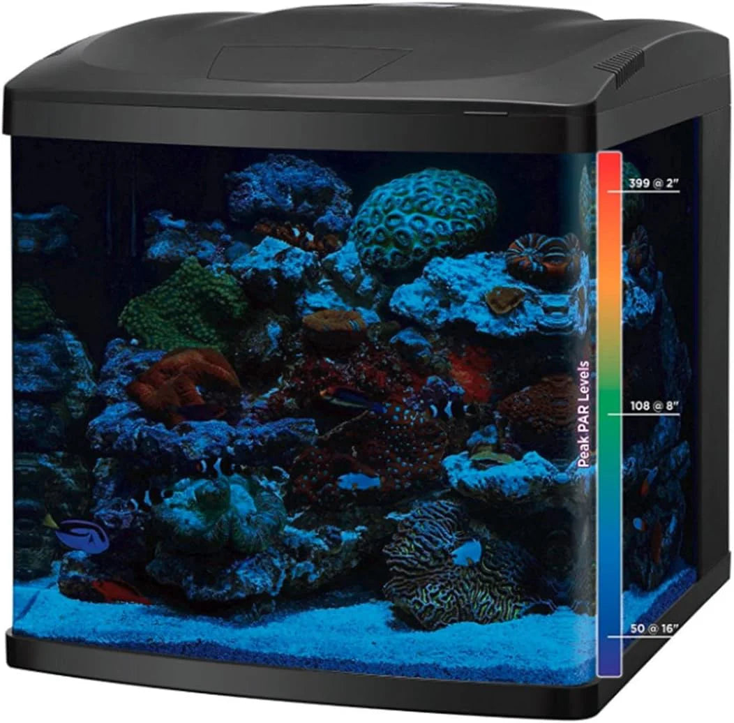 BIOCUBE 32 Gallon Glass Aquarium Tank And Stand Kit - LED