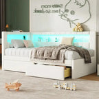 Upholstered Platform Bed Frame With USB Charging, LED Accent Lights And 2 Storage Drawers - Full/Twin