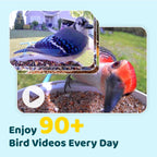 NETVUE by Birdfy Smart Bird Feeder With Camera, Solar Power, 1.5L