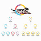 Embark Dog DNA Test Breed Identification Kit