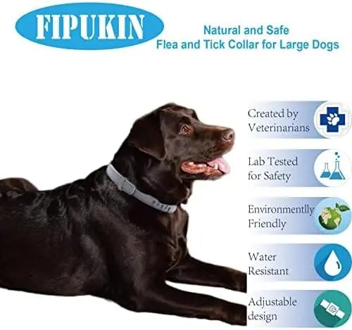 NaturalGuard Flea & Tick Collar For Large Dogs - Hypoallergenic, Plant-Based, 3-Month Protection