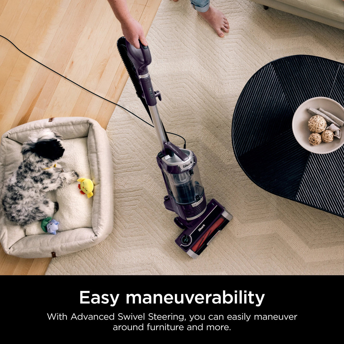 Shark Upright Vacuum With Lift-Away, PowerFins HairPro, Odor Neutralizer, Purple - ZD550