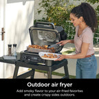 Ninja 7-in-1 Portable Electric Outdoor Grill And Smoker With Thermometer, Grey - OG751BRN