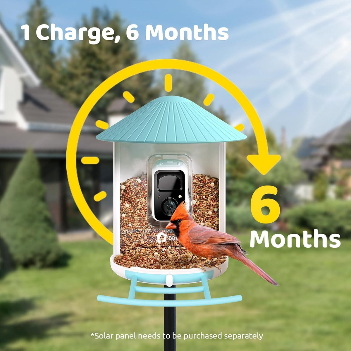 NETVUE by Birdfy Smart Bird Feeder With Camera, Solar Power, 1.5L