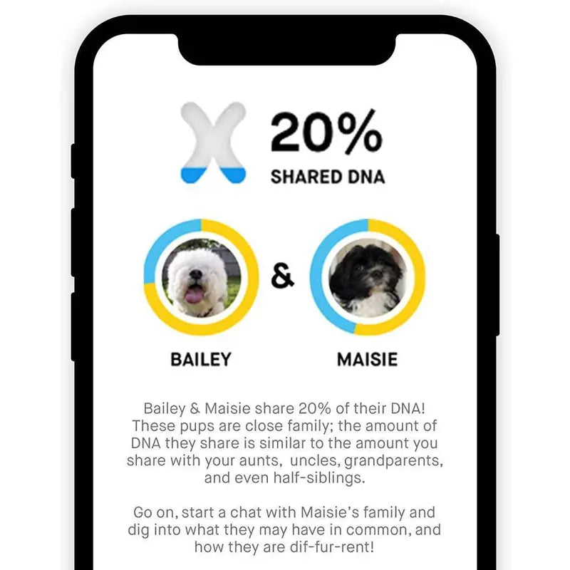 Embark Dog DNA Breed Identification Test Kit With Doggy Relative Finder