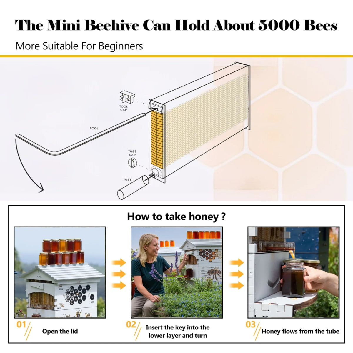 AUSHIVE Wax-Coated Cedarwood Beehive Kit With 4 Beehive Frames And 6 Brood Frames - Beige